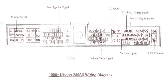 apex95ecu.jpg (18325 bytes)